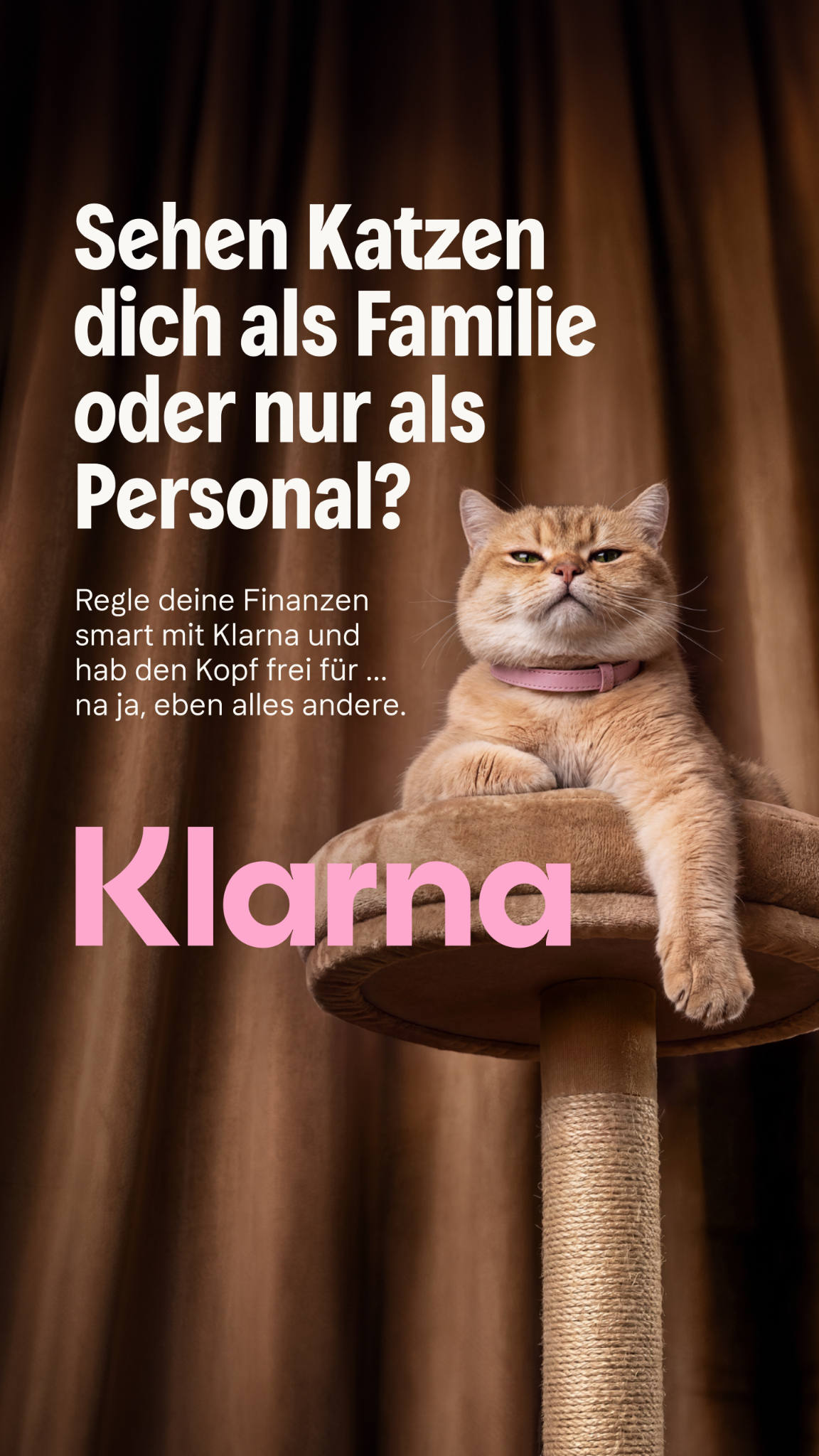 Werbemittelbild