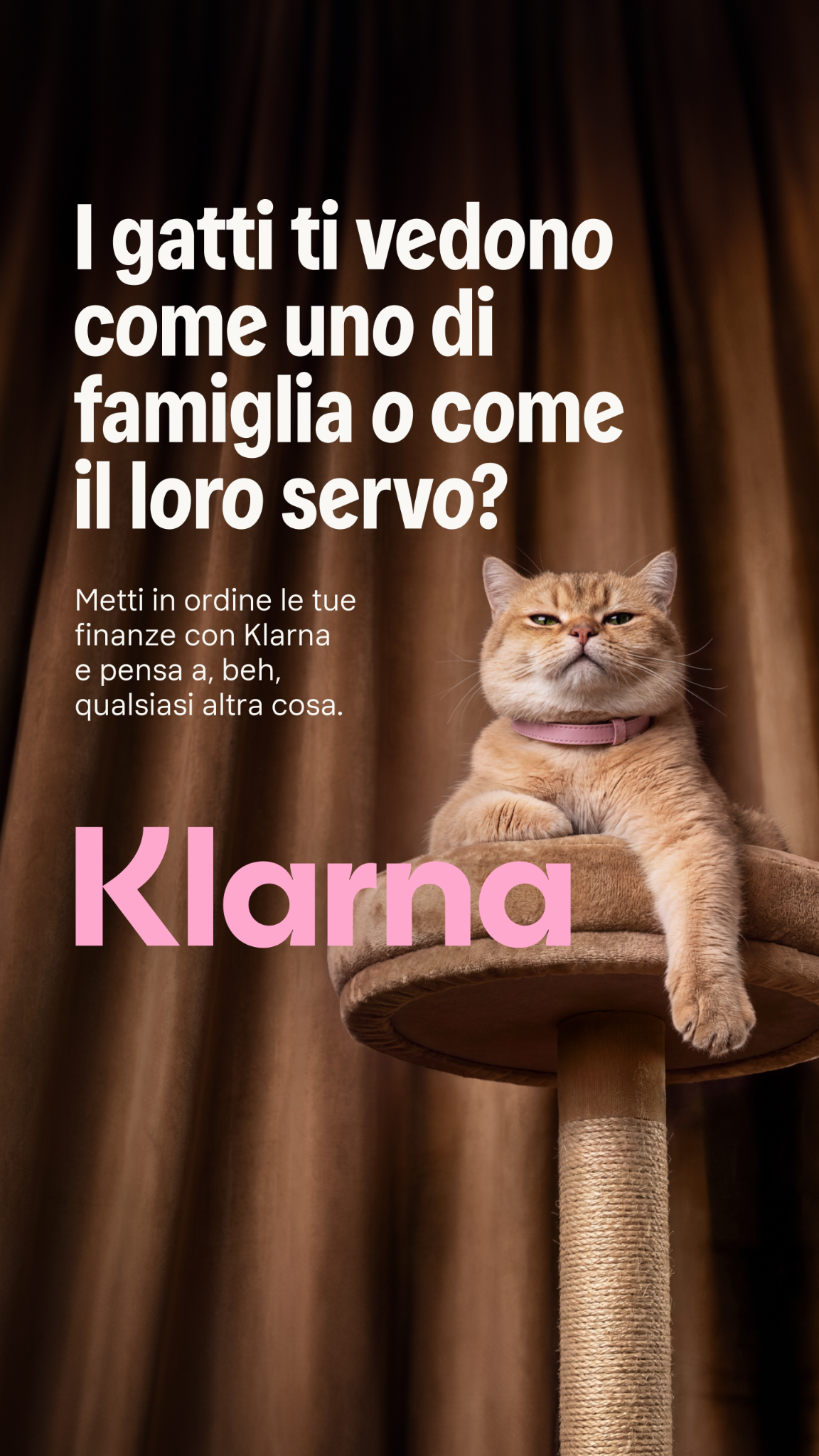 imagen del creativo