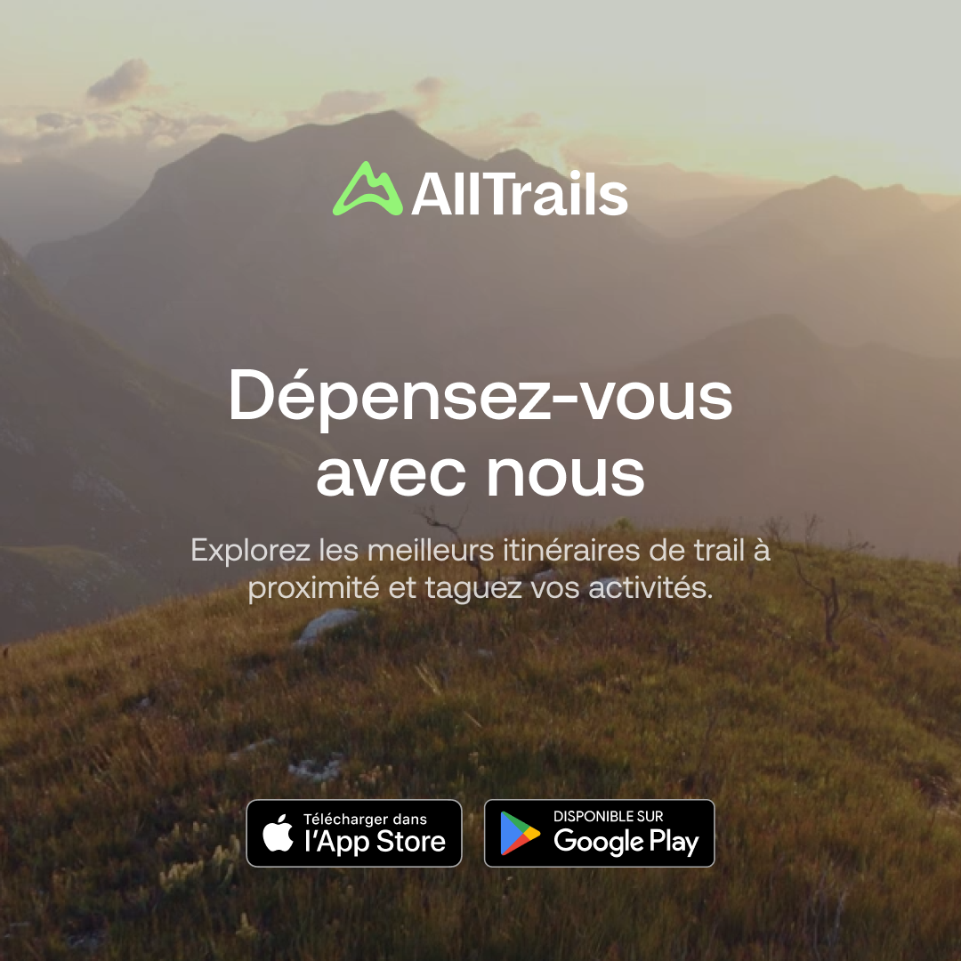 visuel publicitaire